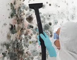 Why You Should Choose Our Mold Remediation Services in Randolph, WI